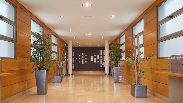 Een moderne hotel lobby met houten lambrisering, grote ramen en pottenbamboe.