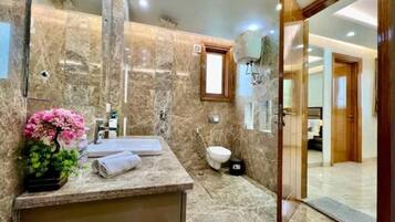 Shower, hair dryer, bidet, towels