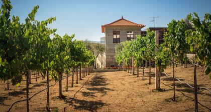 Quinta do Aido - WineTourism
