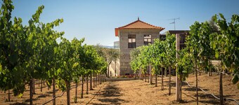 Quinta do Aido - WineTourism