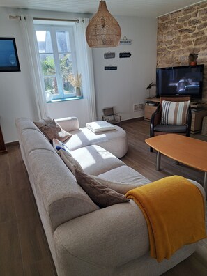 Smart-TV, Kamin