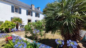 A courtyard with a white building, a palm tree, and blue flowers. - Ploemeur 56, Kerroch 150m from the sandy beach (Ploemeur)