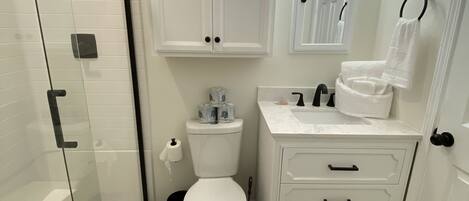 A bathroom with a glass shower enclosure, a toilet, a sink with a mirror, and a towel rack.