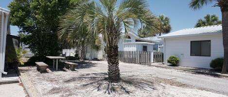 テラス / パティオ