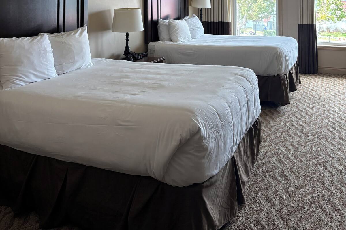 Deluxe Room | 2 bedrooms, iron/ironing board, free WiFi, bed sheets