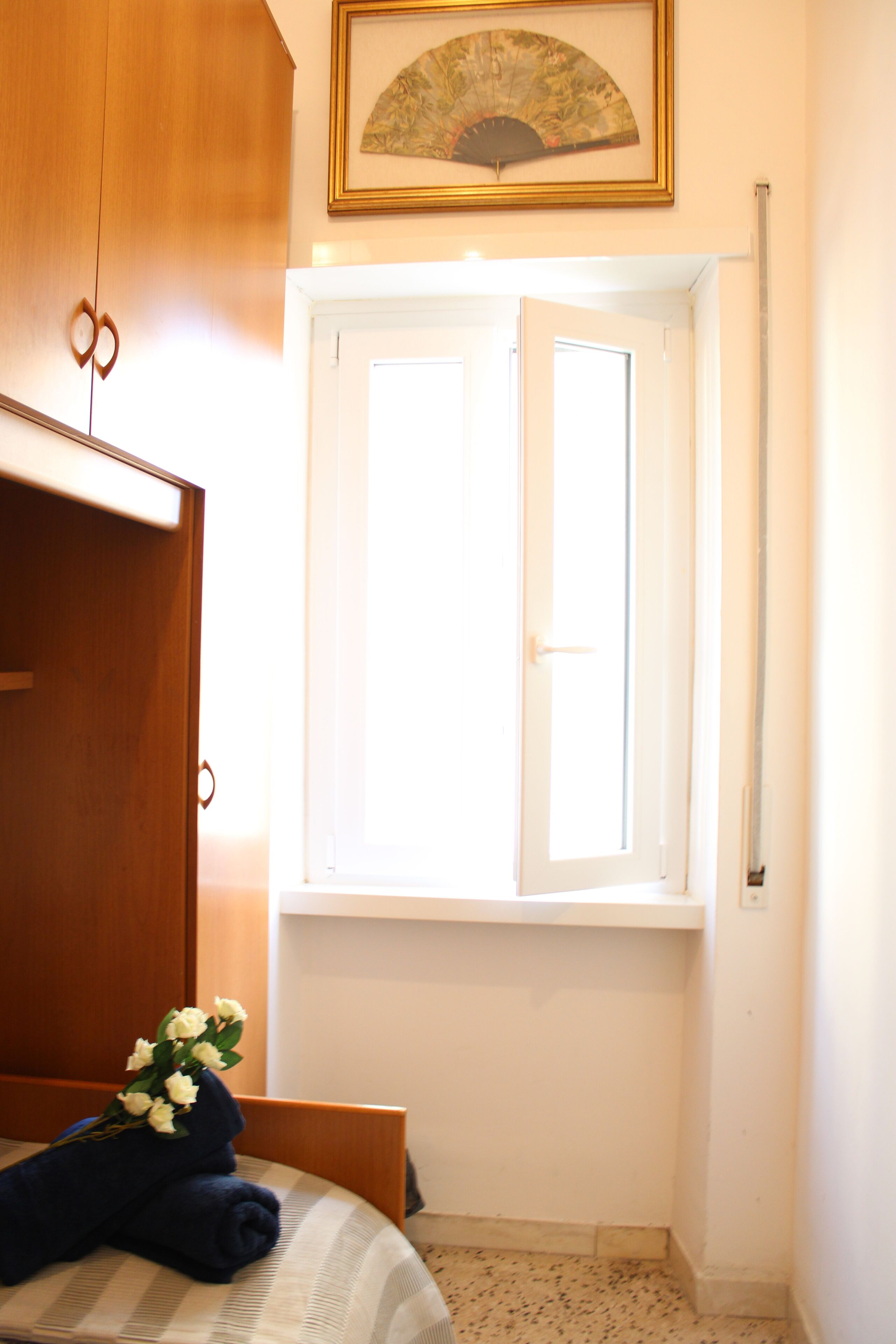 Photo - Mikasa Balduina Roma