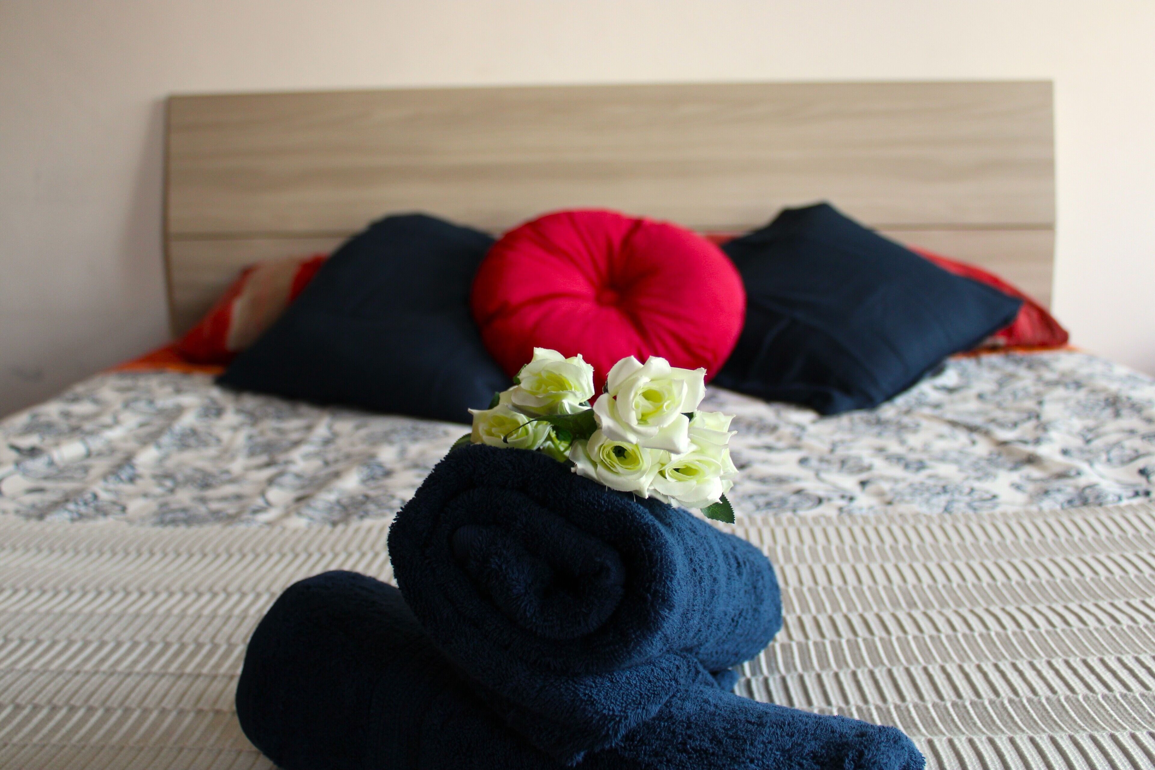 Foto - Mikasa Balduina Roma