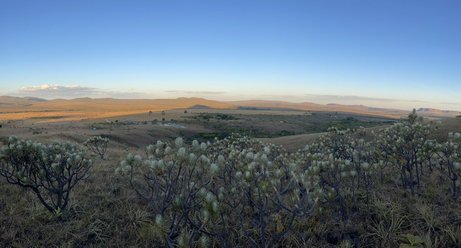 A desert landscape with sparse vegetation and distant hills.