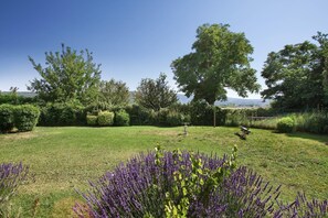 A well-maintained grassy lawn with a variety of trees and shrubs, a picnic table, and a bench. - Apartment in Bonnieux near Lavender Fields (BONNIEUX)