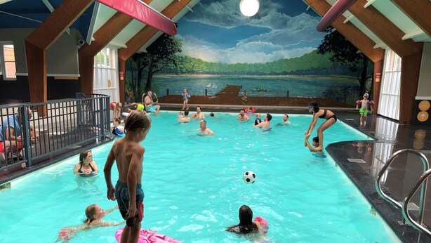 An indoor swimming pool with a mural of a lake and trees on the ceiling. - Chalet in Voorthuizen with indoor pool (Voorthuizen)