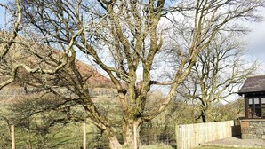Un paysage rural avec un grand arbre, un bâtiment en pierre et une clôture en bois.