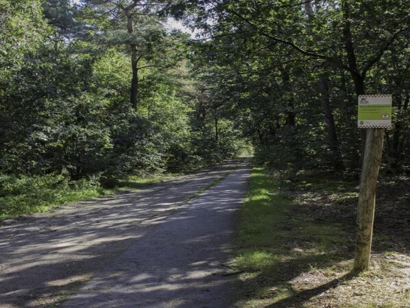 A forested path with a signpost indicating a nature trail.