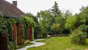 A stone pathway leading to a rustic house with a tiled roof, surrounded by lush greenery and a variety of trees. - Delightful holiday home with a large private swimming pool, perfect for families (Cérilly)