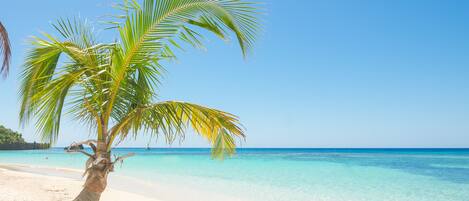 On the beach, sun loungers