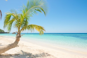A beach with clear turquoise water, a palm tree, and a sandy shore.