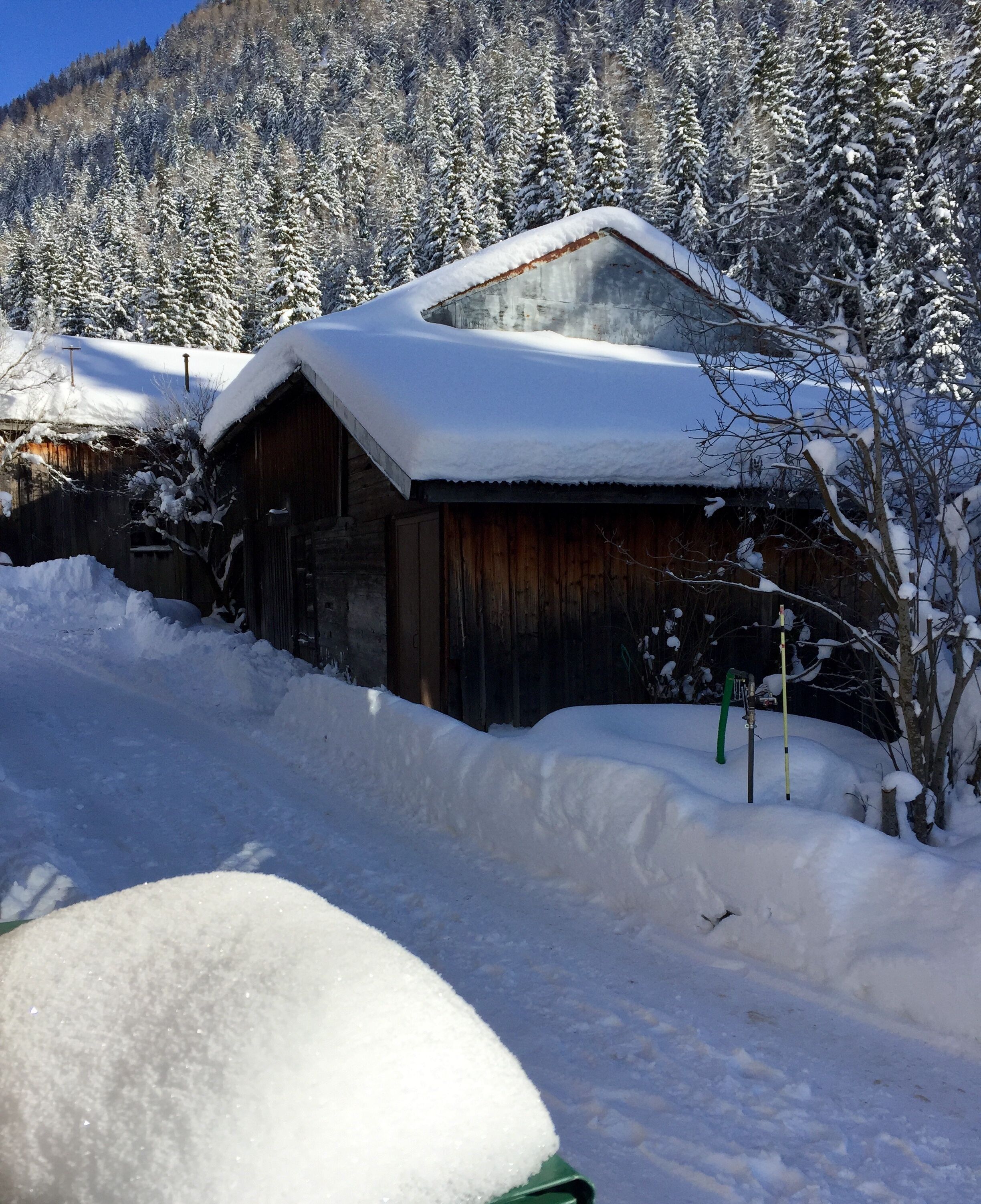 A wooden cabin with a snow-covered roof, surrounded by snow-laden trees and a mountain backdrop.