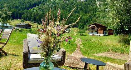 Authentic stone and larch chalet / 350 m from the gondola 8/9 persons 90 m² / 430 sq. ft.