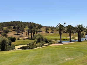 A golf course with sand bunkers, water hazards, and palm trees.
