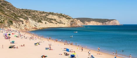 Playa en los alrededores y camastros 