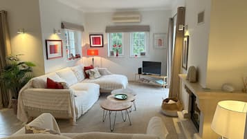 Télévision, cheminée, lecteur de DVD, livres