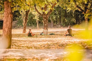 Three individuals meditating in a park with trees and a grassy area. - Nature Retreat with Terrace (VALLON PONT D'ARC)
