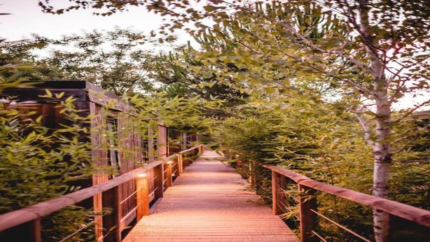 Un sentier en bois traverse un jardin, avec des garde-corps de chaque côté.