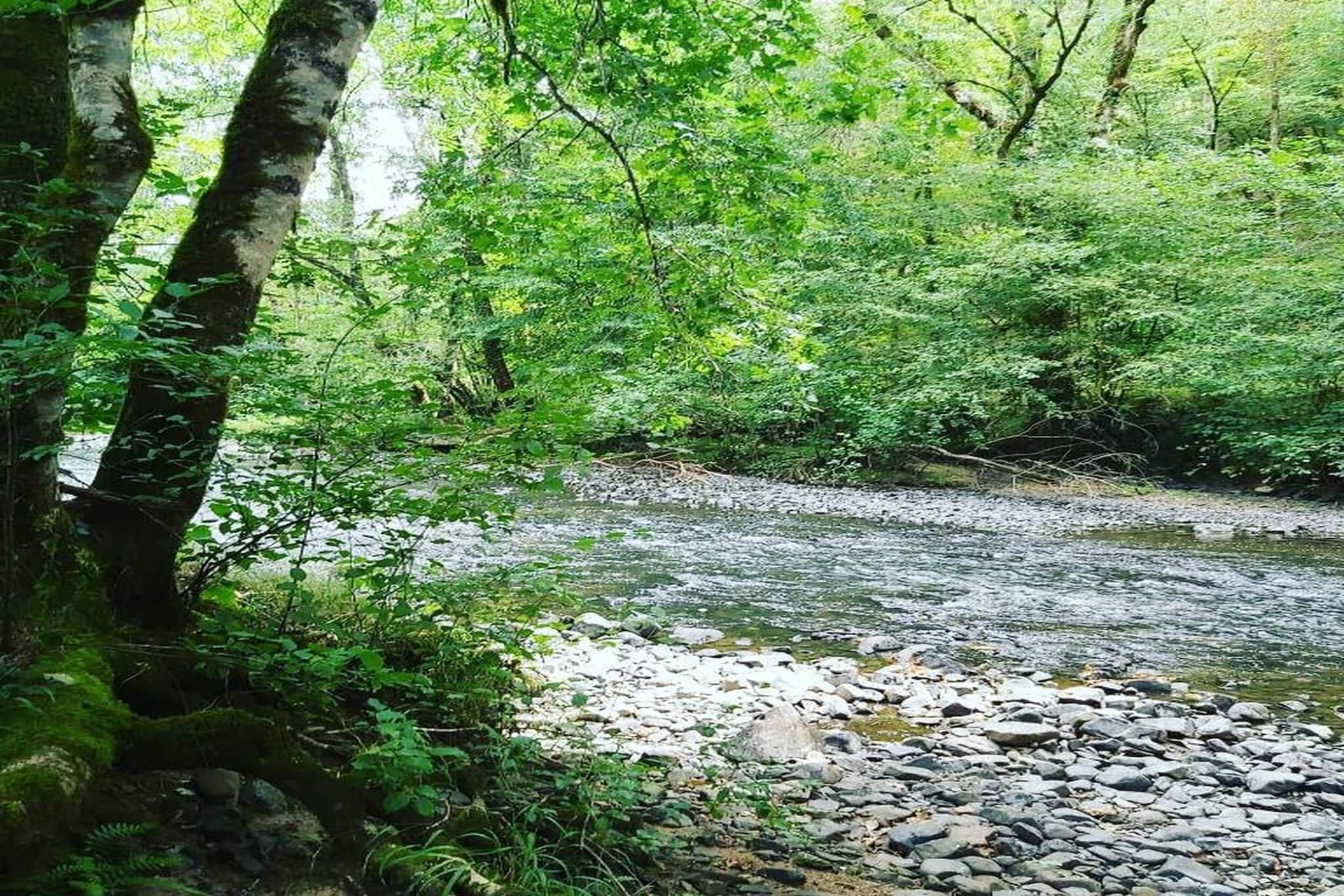 Un cadre naturel en plein air, avec un ruisseau, entouré d’une végétation luxuriante et d’arbres.