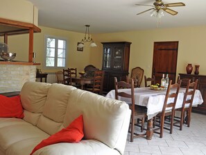 TV, fireplace, DVD player, ping pong