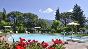 A swimming pool with lounge chairs and umbrellas, surrounded by greenery and trees. - Villa with outdoor pool and WiFi (Cortona)