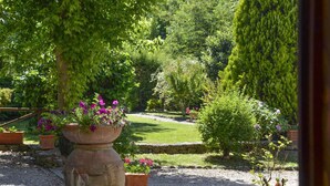 Un giardino con un vaso di terracotta grande, pieno di fiori viola, circondato da vasi più piccoli e un muro in pietra.