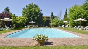 Una piscina rettangolare con bordo in mattoni, circondata da sedie a sdraio e ombrelloni, con un vaso di fiori in primo piano.