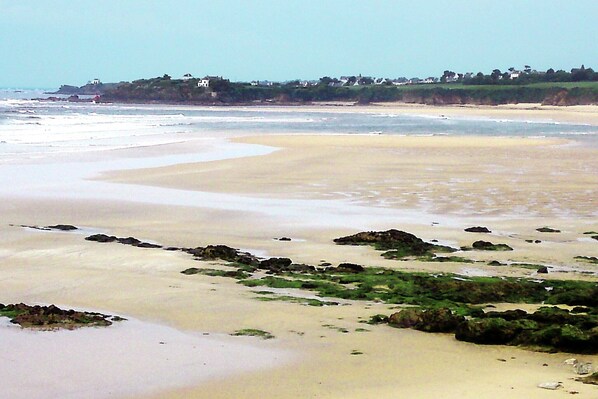 A beach with a sandy shore, some rocks, and greenery.