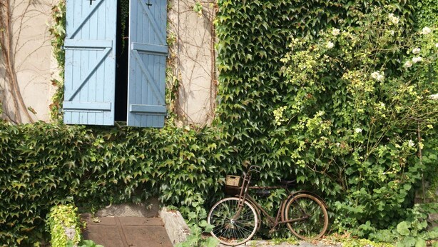 A rustic building with a stone pathway leading to a blue door with a cross symbol. - Holiday home in Vic-sur-Seille near the forest (Vic-Sur-Seille)