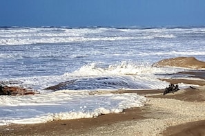 شاطئ