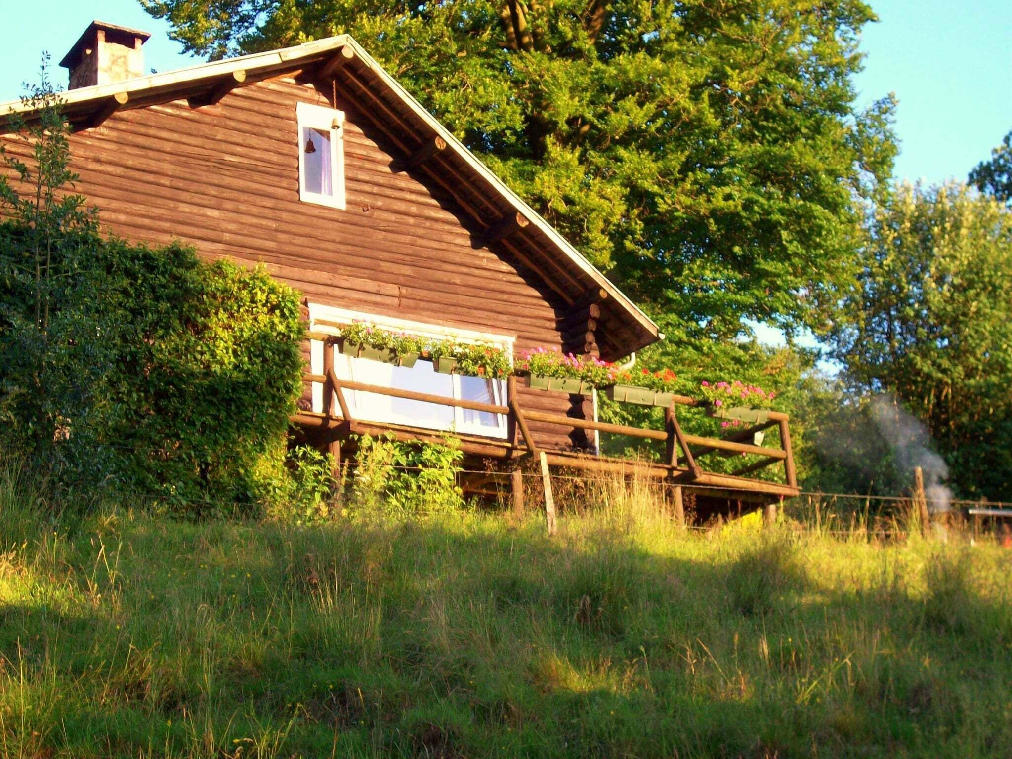 Eine rustikale Holzhütte mit geneigtem Dach, umgeben von üppigem Grün und Bäumen.