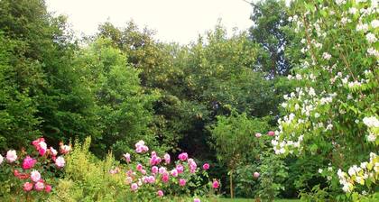 Gemütliches Chalet in Francorchamps
