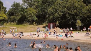 Een druk strand met mensen die zwemmen en ontspannen op het zand.