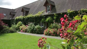 A row of houses with a well-maintained garden and a clear pathway.