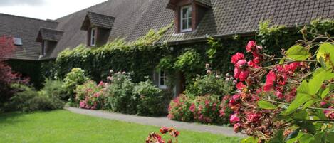 A row of houses with a well-maintained garden and a clear pathway.