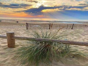 A beach with a wooden fence and tall grasses in the foreground. - Holiday Home in Quend near Forest and Sea (Quend-Plage)