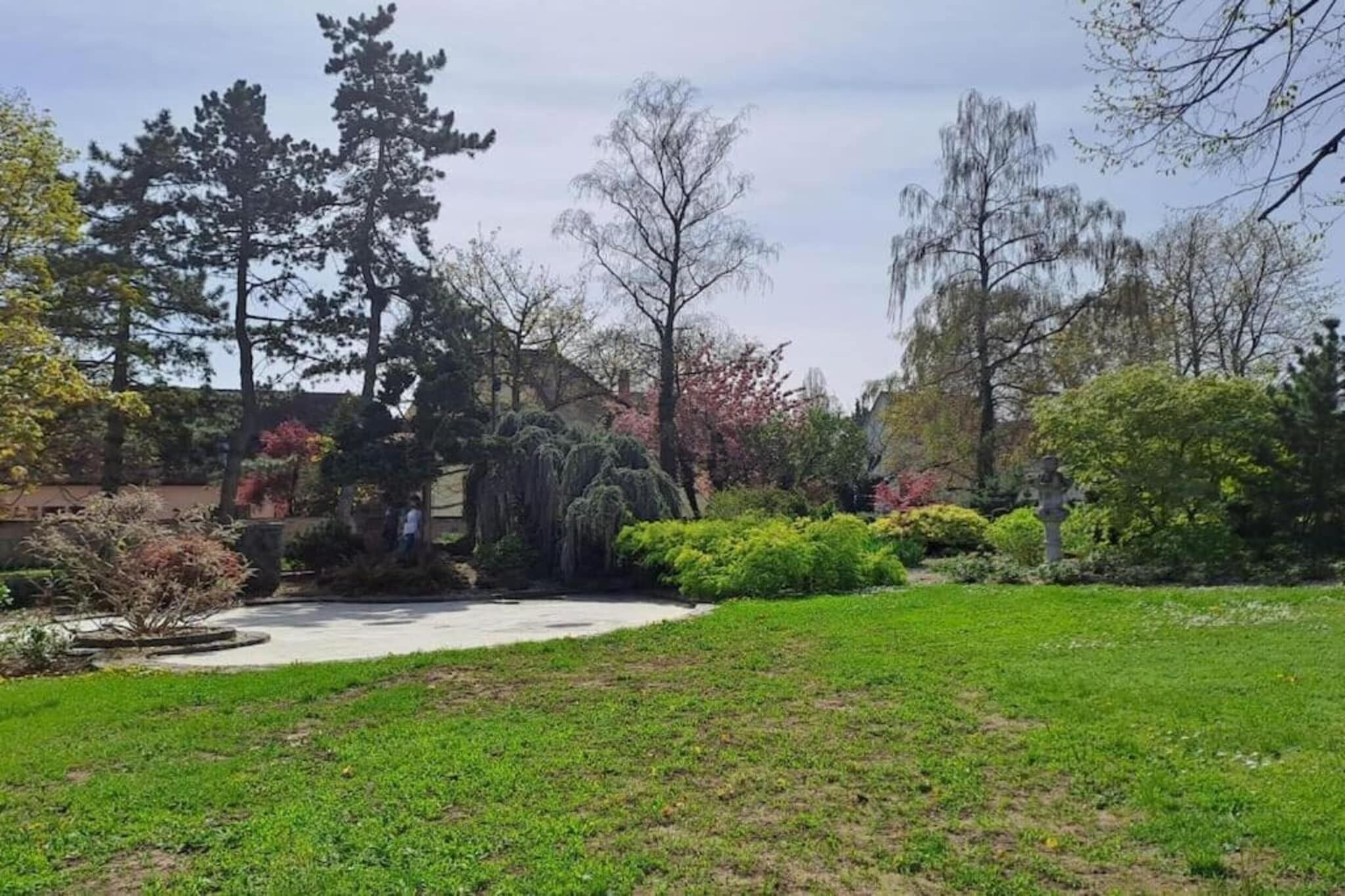 A well-maintained garden with a variety of trees and shrubs, a clear pathway, and a lawn.