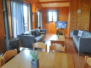 TV, video games, DVD player, table tennis