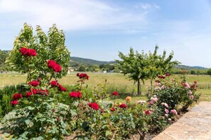 Ein Garten mit verschiedenen blühenden Pflanzen und Bäumen, einem Kiesweg und einer ländlichen Landschaft im Hintergrund.