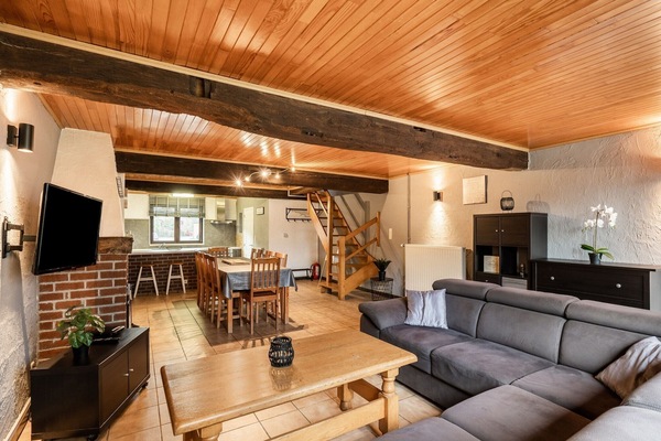 TV, fireplace, table tennis