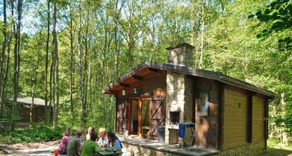 Chalet in Belgium surrounded by nature