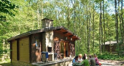 Chalet in Belgium surrounded by nature