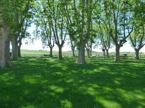 Overnattingsstedets uteområder