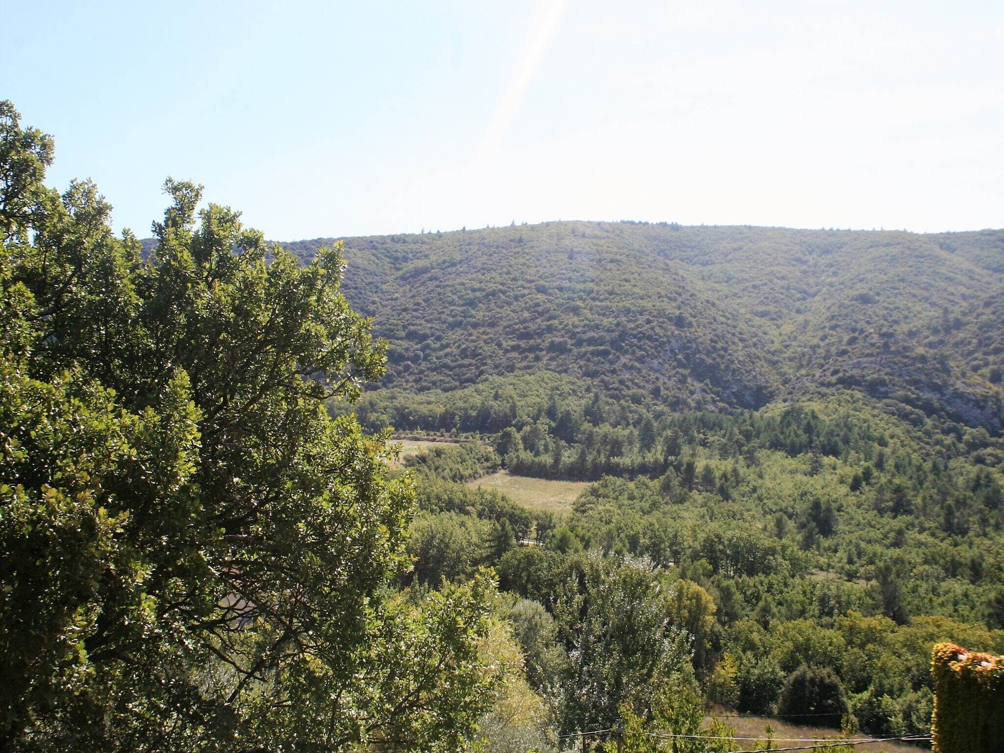 Et bjerglandskab med tæt skov.
