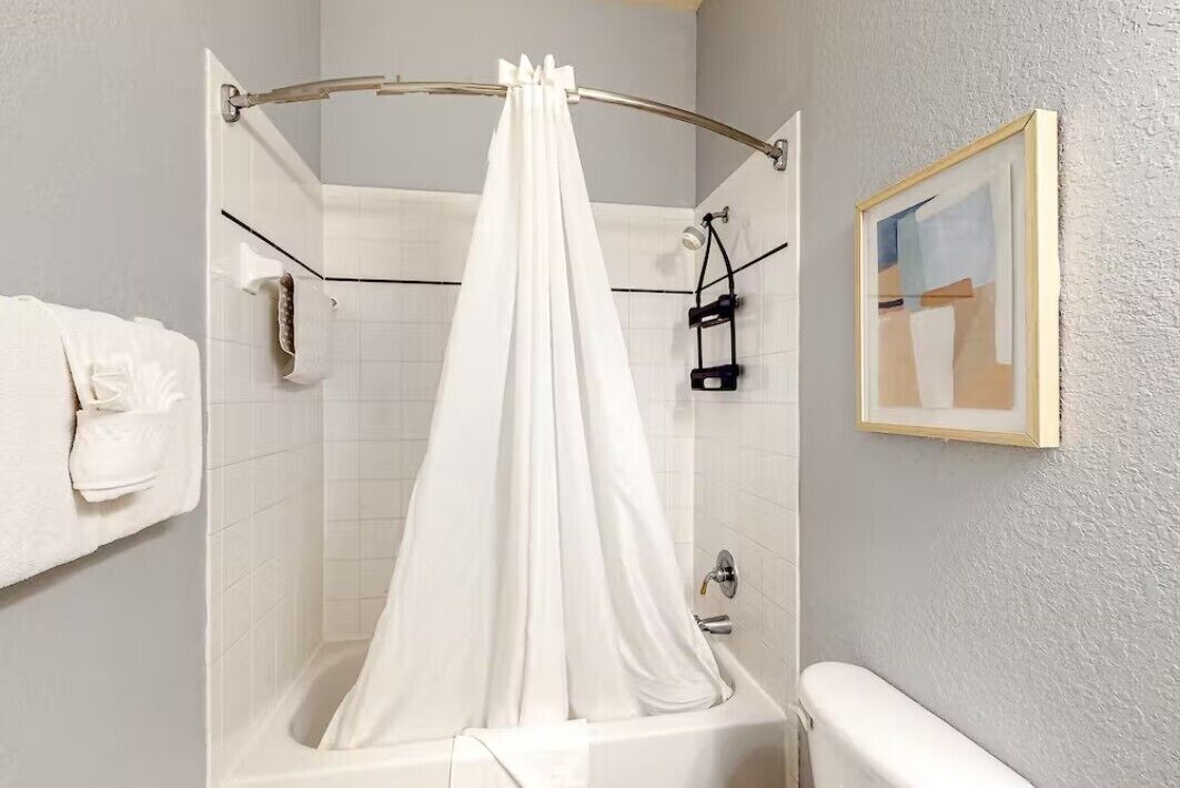 Une salle de bain avec un rideau de douche, un porte-serviettes et un tableau encadré au mur.