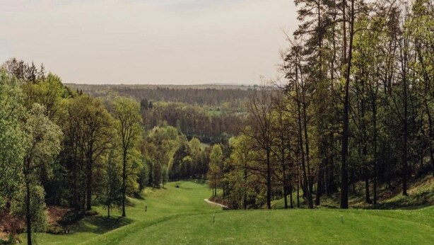 A golf course with a well-maintained green, surrounded by trees and a hilly landscape. - Villa Apartment with Terrace (Durbuy)